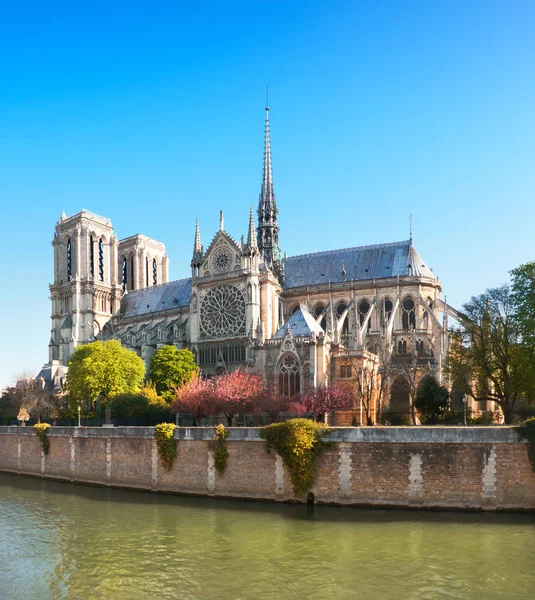 Undamaged Eastern Facade Notre Dame Paris Springtime Fire Panoramic Image — Stock Photo, Image