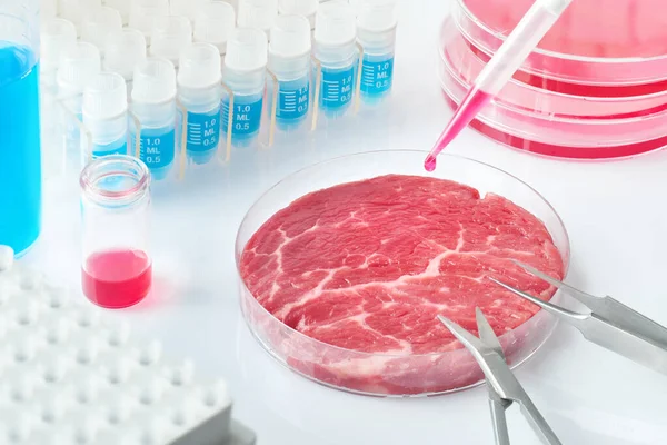 Muestra Carne Plato Cultivo Células Plásticas Desechables Abiertas Moderno Laboratorio —  Fotos de Stock