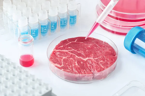 Échantillon Viande Dans Plat Culture Cellules Plastiques Jetables Ouvert Dans — Photo