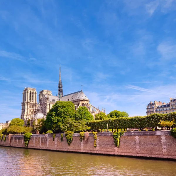 Fachada Este Intacta Notre Dame Paris Primavera Antes Del Incendio —  Fotos de Stock
