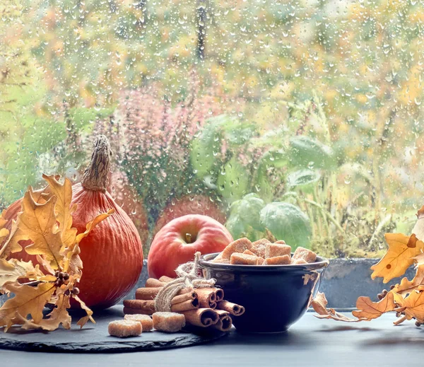 Citrouilles Cannelle Sucre Canne Brut Feuilles Chêne Jaune Sur Une — Photo