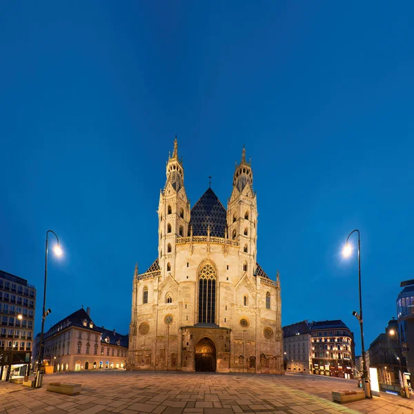 奥地利维也纳St Stephan大教堂 Stephansdom 黄昏时分的全景图像 — 图库照片