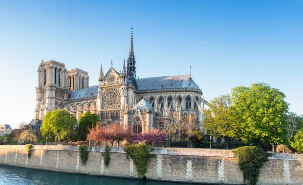 Paris 'teki Notre Dame Katedrali ilkbaharda parlak bir öğleden sonra, manzara