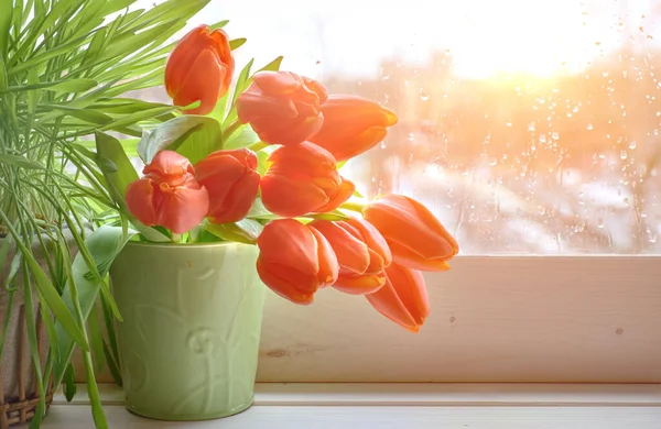 雨の後の日没の窓板に緑の草とオレンジのチューリップの束と春の背景 テキストのスペース — ストック写真