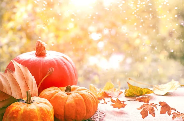 Herbst Hintergrund Mit Kürbissen Und Trockenen Blättern Auf Einem Fensterbrett — Stockfoto