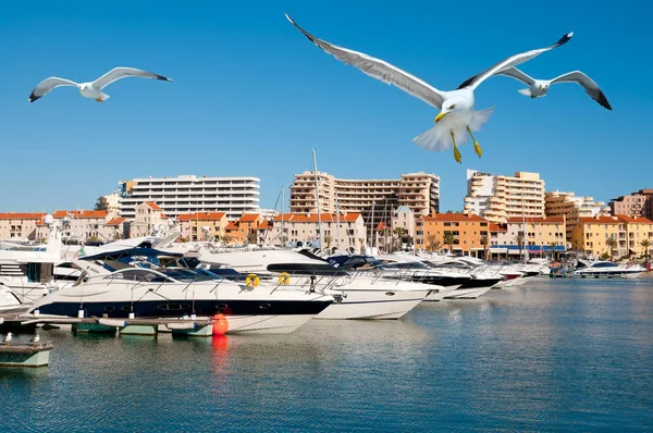Barcos Motor Vilamoura Resort Portugal — Fotografia de Stock