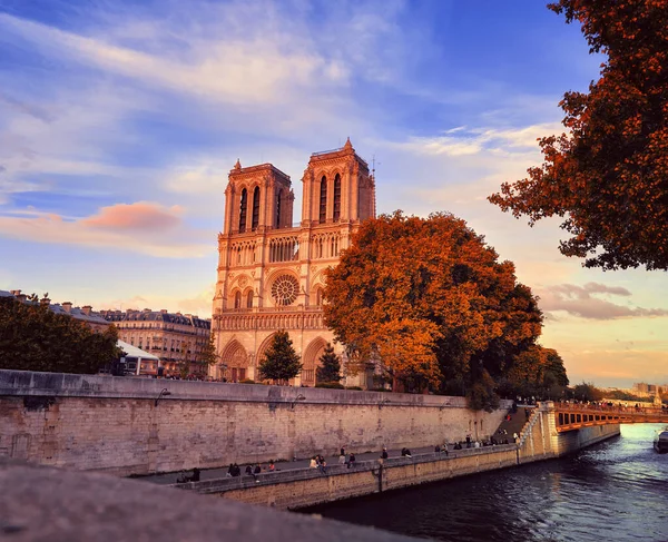 Katedra Notre Dame Jedna Najważniejszych Atrakcji Paryża Spokojny Wieczór Jesienią — Zdjęcie stockowe