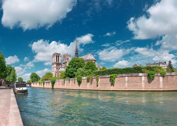 Katedra Notre Dame Paryżu Drugiej Stronie Sekwany Ten Panoramiczny Obraz — Zdjęcie stockowe
