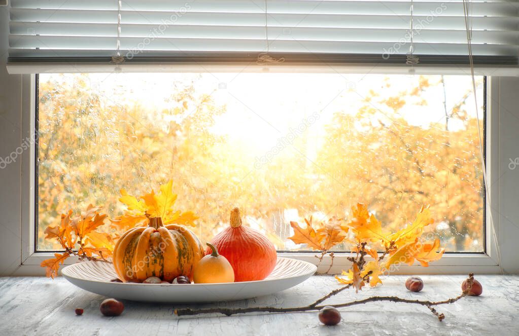 Pumpkins and yellow oak leaves by the window on a rainy day. Toned image, space for your text