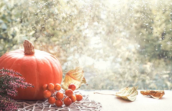 Autumn still life with pumpkin on a window board on a rainy day — Stock Photo, Image