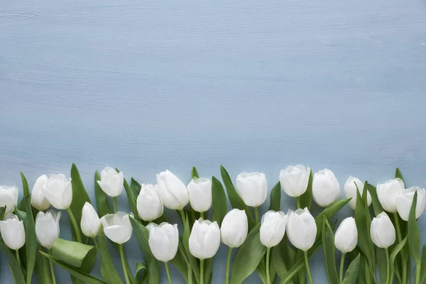 Springtime flat lay, border of white tulips on light textured wo