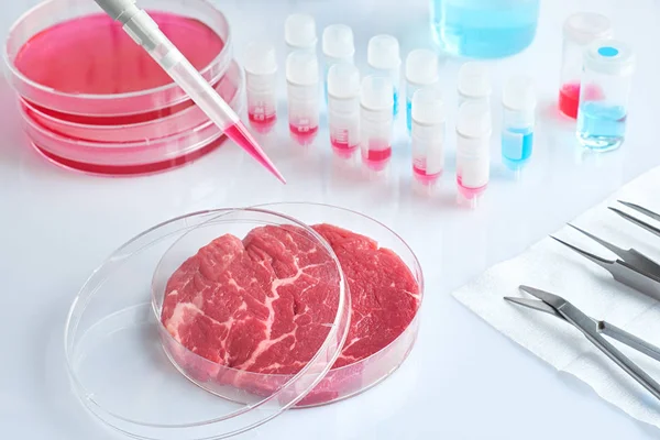Meat sample in open  disposable plastic cell culture dish in mod — Stock Photo, Image