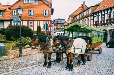 Wernigerode, Germa 'da at arabası tur için bekliyor.