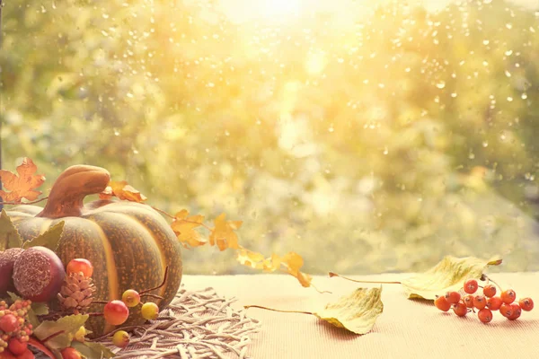 Pumpkins and Autumn leaves on the window board on a rainy day — Stock Photo, Image