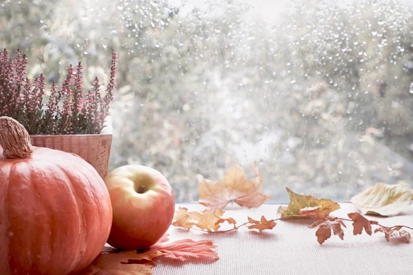 Citrouilles et feuilles d'automne sur le panneau de la fenêtre un jour de pluie — Photo