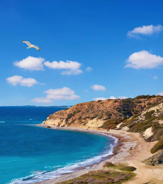 Hermosa línea costera de Chipre cerca de Paphos — Foto de Stock