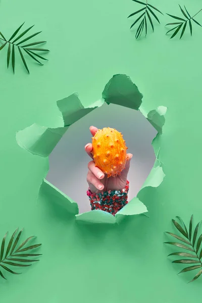 Kiwano, small exotic orange spiky fruit in human hand showing out of paper hole in tropical green geometric background with palm leaves