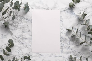Beautiful abstract floral background. Flat lay, top view eucalyptus on marble background, flat lay on light textured stone table surface. Minimal concept with text space. Trendy background.