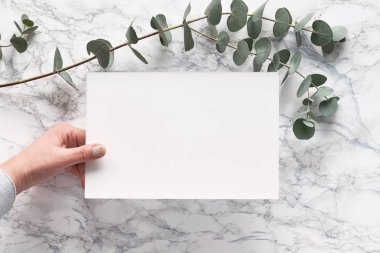 Beautiful abstract floral background. Flat lay, top view eucalyptus on marble background, flat lay on light stone table. Minimal concept, trendy floral design with gold frame, copy-space on paper.