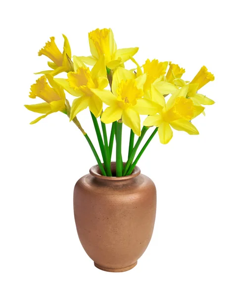 Bunch of beautiful yellow daffodils isolated on white background. Beautiful bouquet of narcissus flowers in rustic ceramic vase. Great design for any purposes. Casual Springtime floral arrangement. — Stockfoto