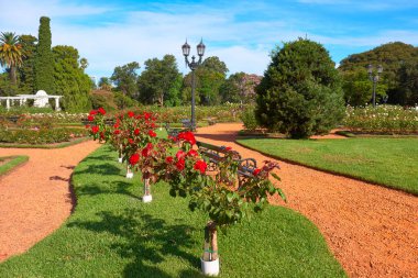 Buenos Aires, Arjantin. Parque Tres de Febrero veya Bosques de Palermo (İngilizce Palermo Woods), Palermo civarındaki bir şehir parkı.