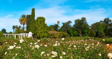 Buenos Aires, Arjantin. Parque Tres de Febrero veya Bosques de Palermo (Palermo Ormanı), Palermo Mahallesi 'nde bir şehir parkı..