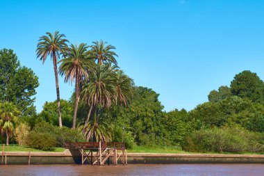Lush vegetation, palm trees. Tigra delta in Argentina, river system of the Parana Delta North from capital city Buenos Aires. clipart