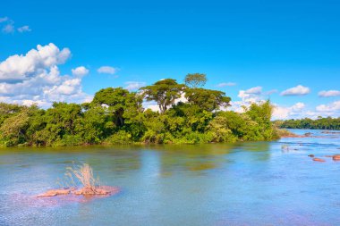 Iguazu Nehri 'nin tropikal yağmur ormanları kıyılarındaki panoramik manzarası. Iguazu Milli Parkı, Arjantin 'in Misiones Eyaleti' nde bulunmaktadır..