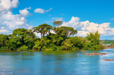 Iguazu Nehri 'nden tropikal yağmur ormanlarının egzotik ağaçlarının kıyılarına panoramik bir manzara. Iguazu Milli Parkı, Arjantin 'in Misiones Eyaleti' nde bulunmaktadır..