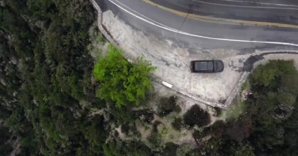 Vue Aérienne Une Voiture Noire Sur Bord Route Près Buisson — Video