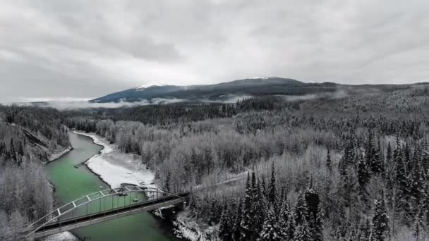 Drone Takes Road Bridge Emerald River Dense Pine Forest Foot — Stock Video