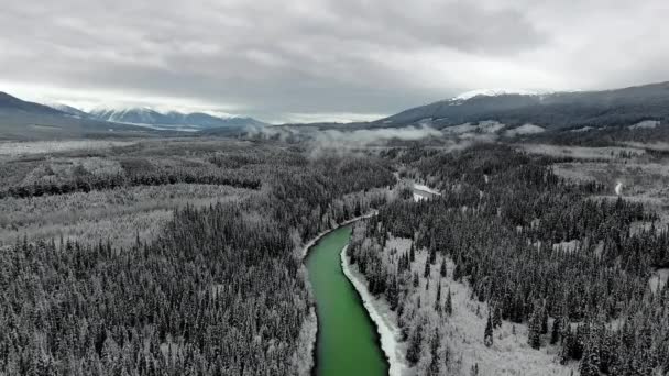 Aerial View Black White Pine Forest Emerald River Winter Mountain — Stock Video