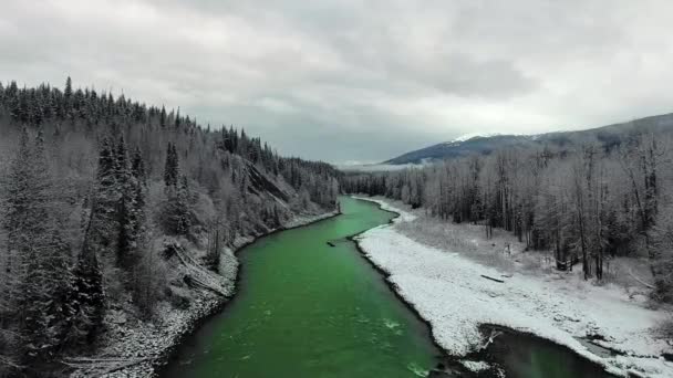 Drone Camera Moves Emerald River Snowy Shores Dense Pine Forest — Stock Video
