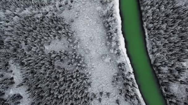 Letecká Kamera Nad Zasněženým Borovým Lesem Břehu Smaragdové Řeky Britská — Stock video