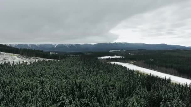 Vue Aérienne Une Forêt Dense Conifères Pied Montagne Colombie Britannique — Video