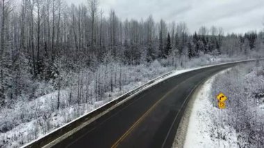 İnsansız hava aracı kamerası, çam ormanlarında sarı bir işaretle otoyol boyunca hareket eder (British Columbia, Kanada)