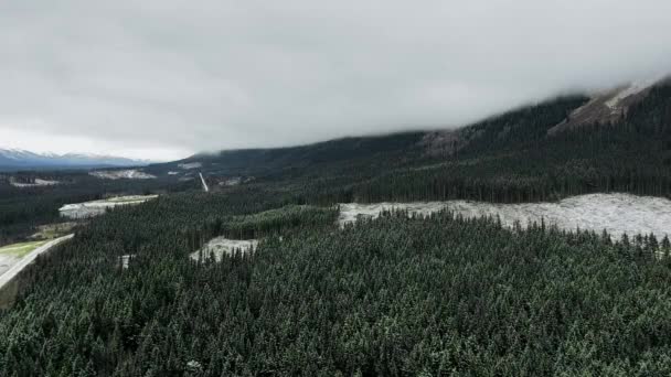 Aerial Shot Dense Taiga Forest Mountain Dense Cloud Fog British — Stock Video