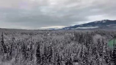 Bir zümrüt gölü ve karlı dağların manzaralı yoğun bir çam ormanı üzerinde havadan çekilmiş bir fotoğraf (British Columbia, Canada)