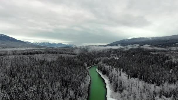 Aerial View Camera Moving Dense Dark Pine Forest Emerald River — Stock Video