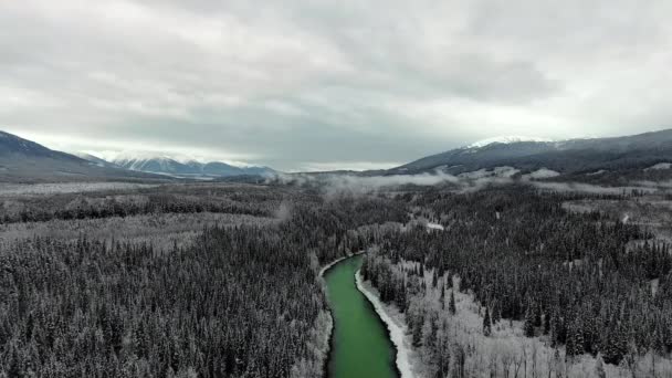 Drohnenaufnahmen Von Dichtem Kiefernwald Einem Fließenden Fluss Und Schneebedeckten Bergen — Stockvideo