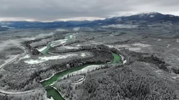 Cámara Del Dron Está Girando Sobre Denso Bosque Pinos Río — Vídeos de Stock