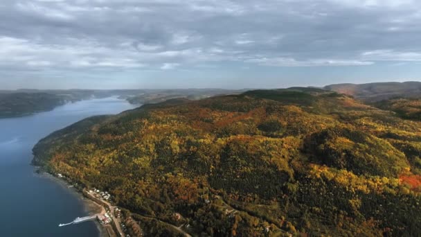 Vista Aérea Río Tranquilo Con Muelle Bosque Denso Una Colina — Vídeo de stock