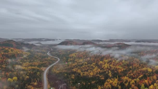 Drone Rises Winding Road Mixed Autumn Forest Mountains Dense Fog — 비디오