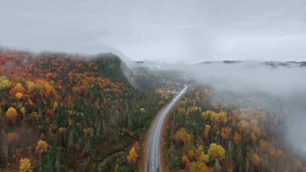 Aerial View Road Yellow Autumn Forest Mountain Range Dense Fog — 비디오