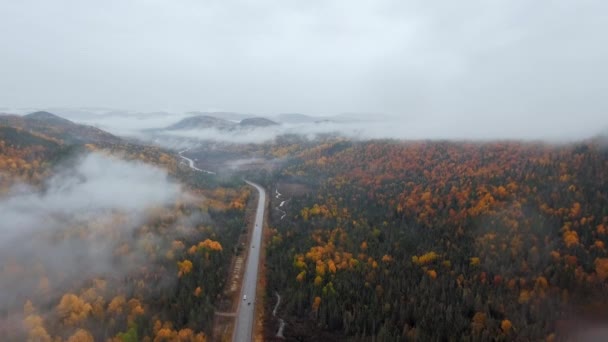 Drone Camera Moves Road Cars Dense Mixed Forest Tops Mountain — 비디오