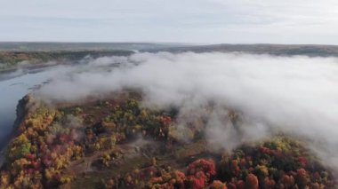 Sakin bir nehrin kıyısındaki yoğun siste (New Brunswick, Kanada) parlak bir sonbahar ormanı üzerindeki hava manzarası)