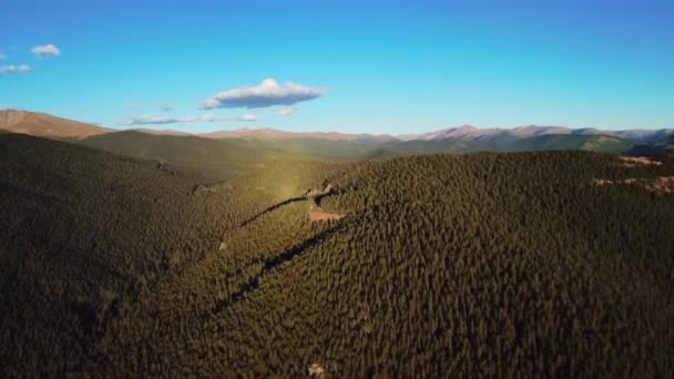 コロラド州 アメリカの明るい青空の下で濃い緑の濃い森の空中ショット — ストック動画