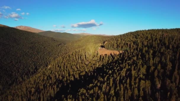 背景の常緑針葉樹林と青空のヘリコプターショット コロラド州 アメリカ — ストック動画