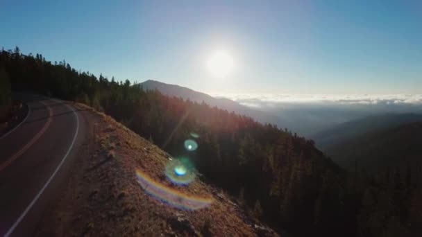 Letecký Snímek Pohoří Jehličnatým Lesem Cestou Mlhavým Údolím Jasným Sluncem — Stock video
