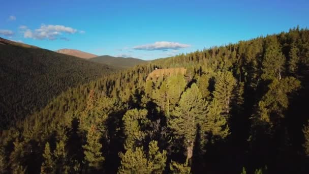 ドローンはゆっくりとコロラド州の高い山の斜面に松の木の上を移動します — ストック動画